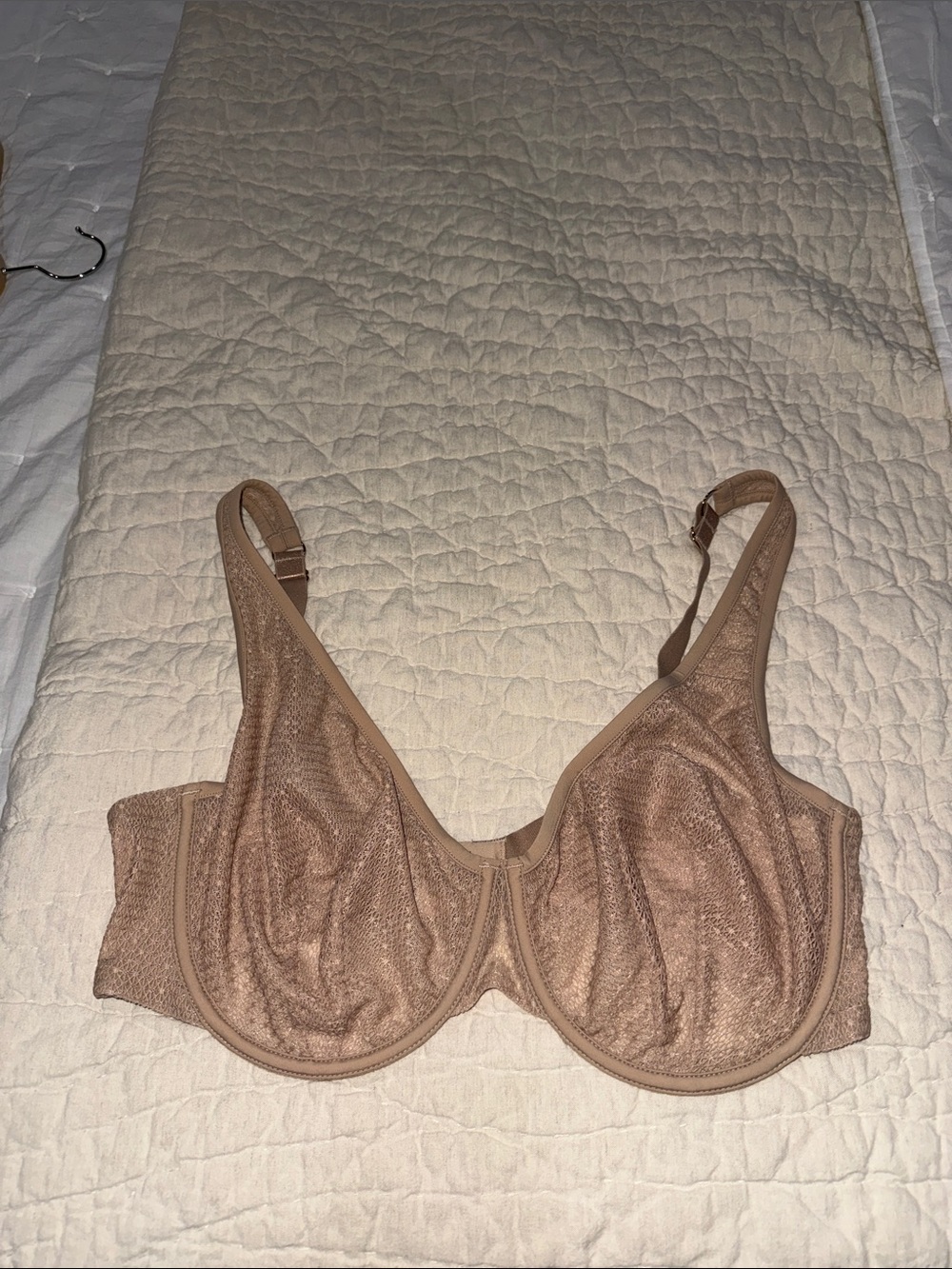 Nude Unlined Mesh Underwire Bra - Nude